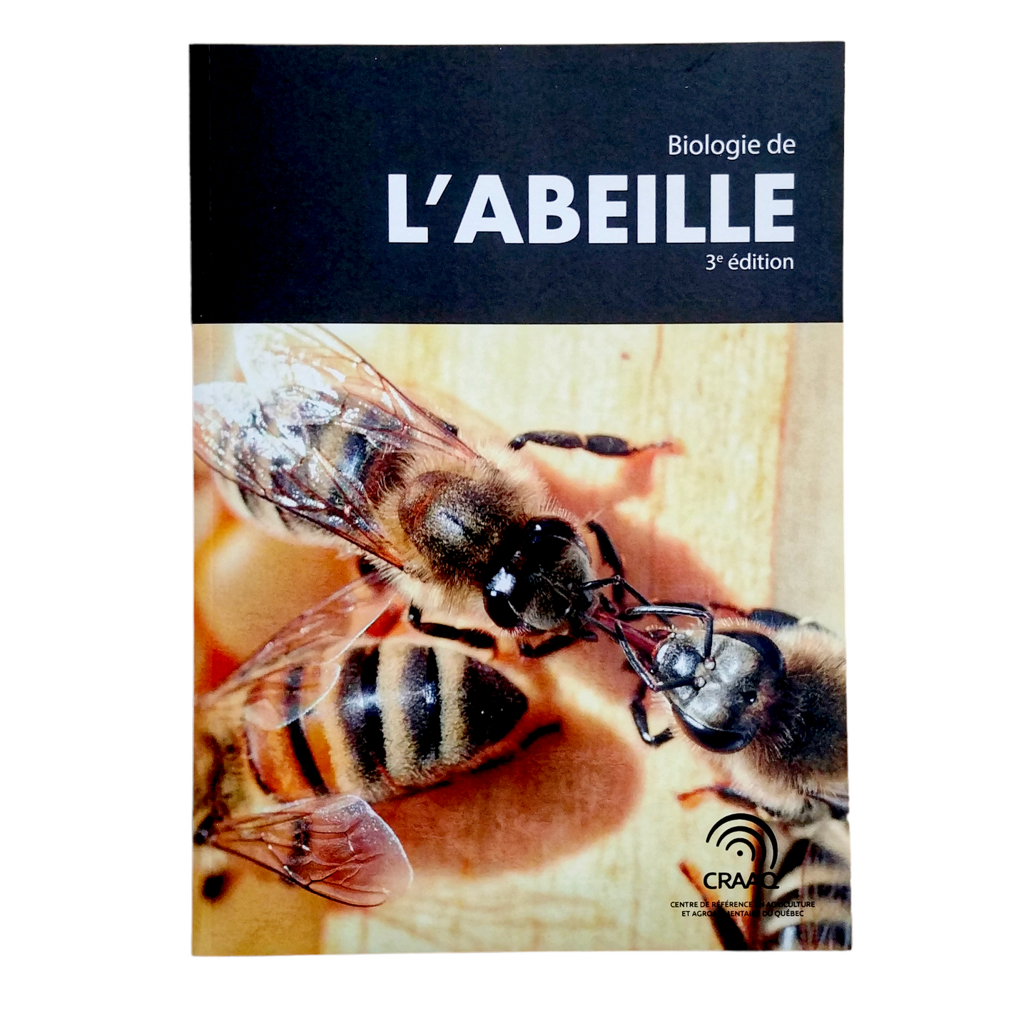 Bee Biology