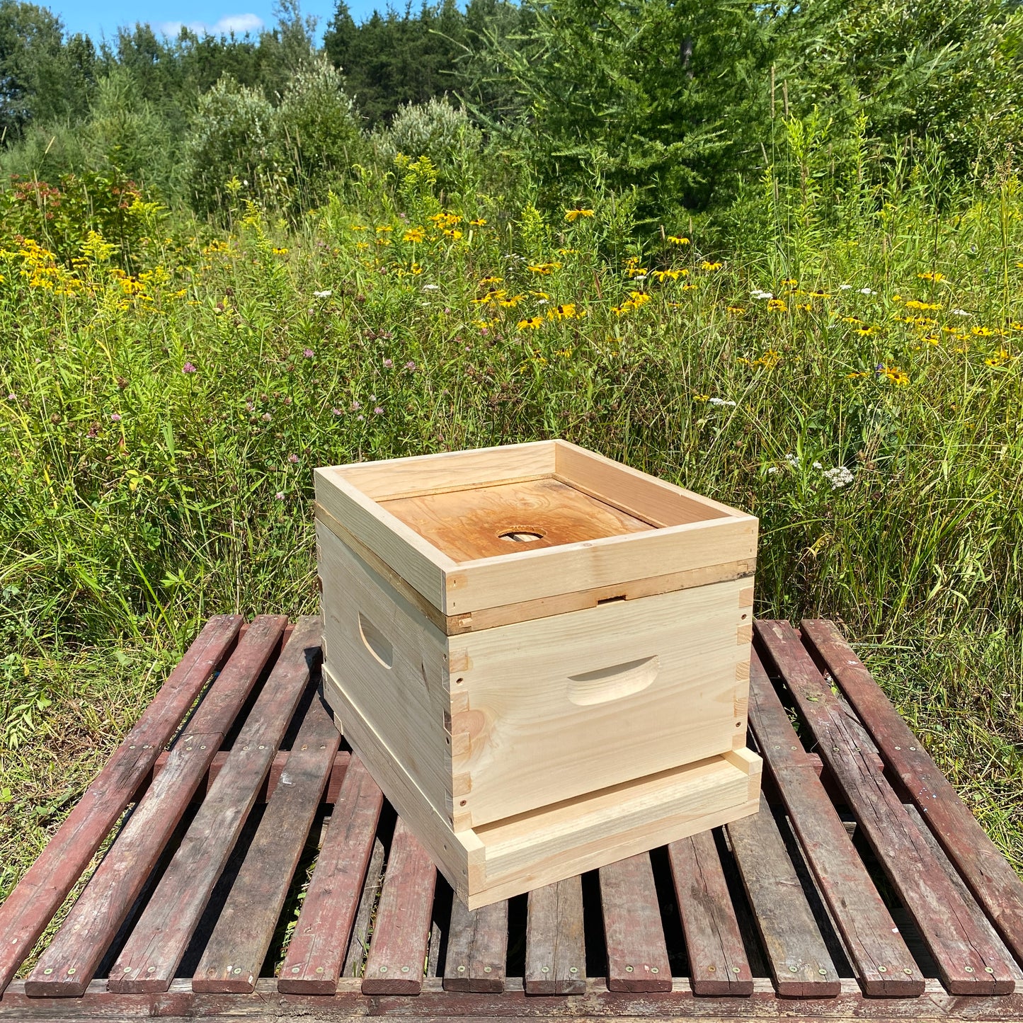 Contour de bois d'hivernage 2''