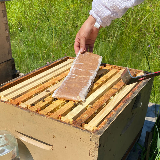Galette de pollen 15%