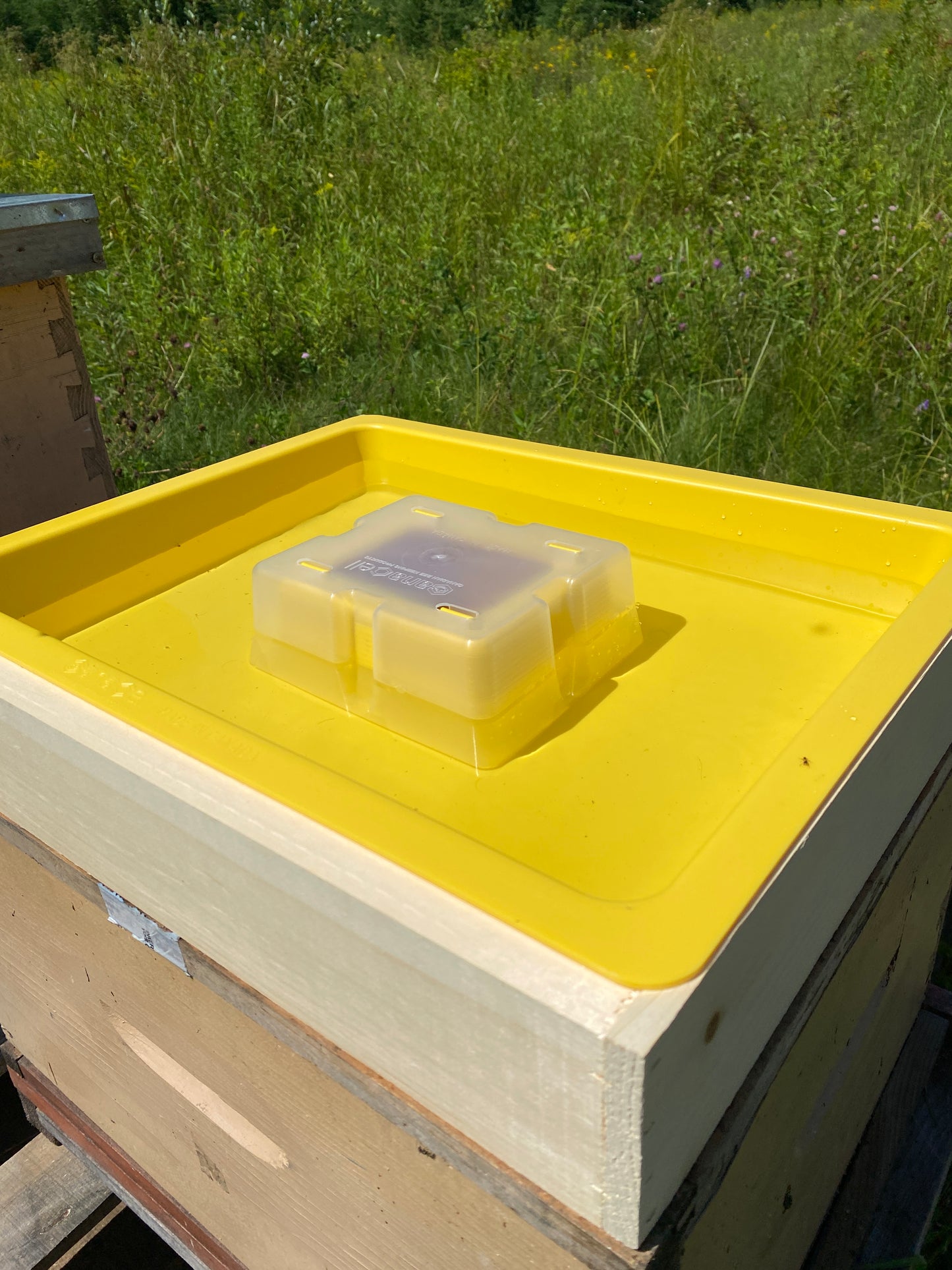 10L surface feeder