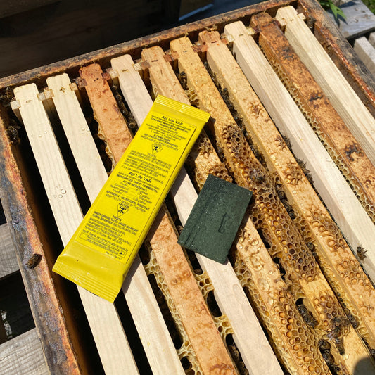 Api Life VAR - Expiration Avril 2026