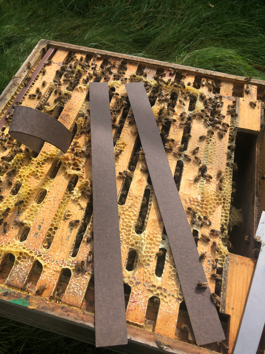 VarroxSan - Bande à diffusion lente d'acide oxalique