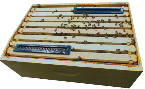 Piège à Petit coléoptère de la ruche (PCR)
