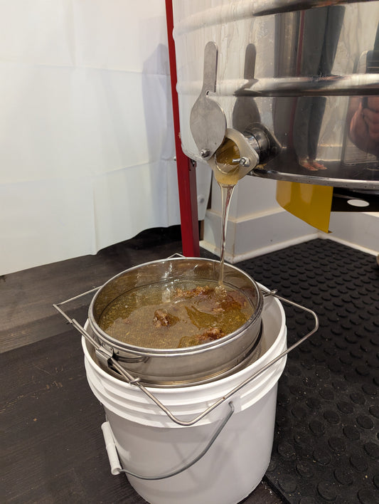 Stainless steel honey filter