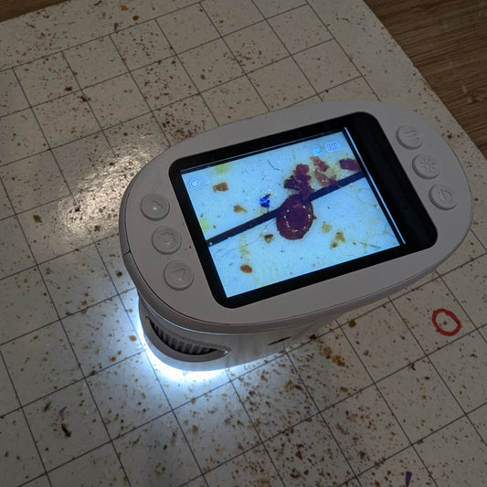 Microscope de poche - carte SD incluse