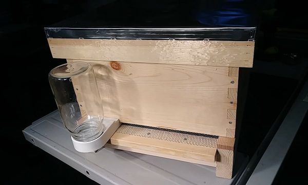 Boardman Feeder