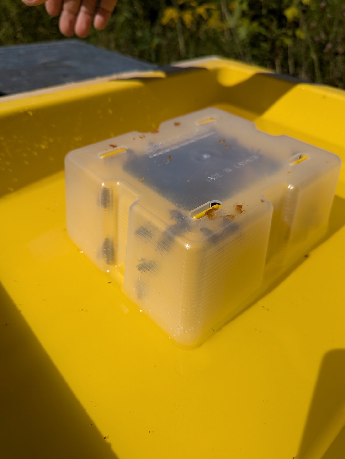 10L surface feeder
