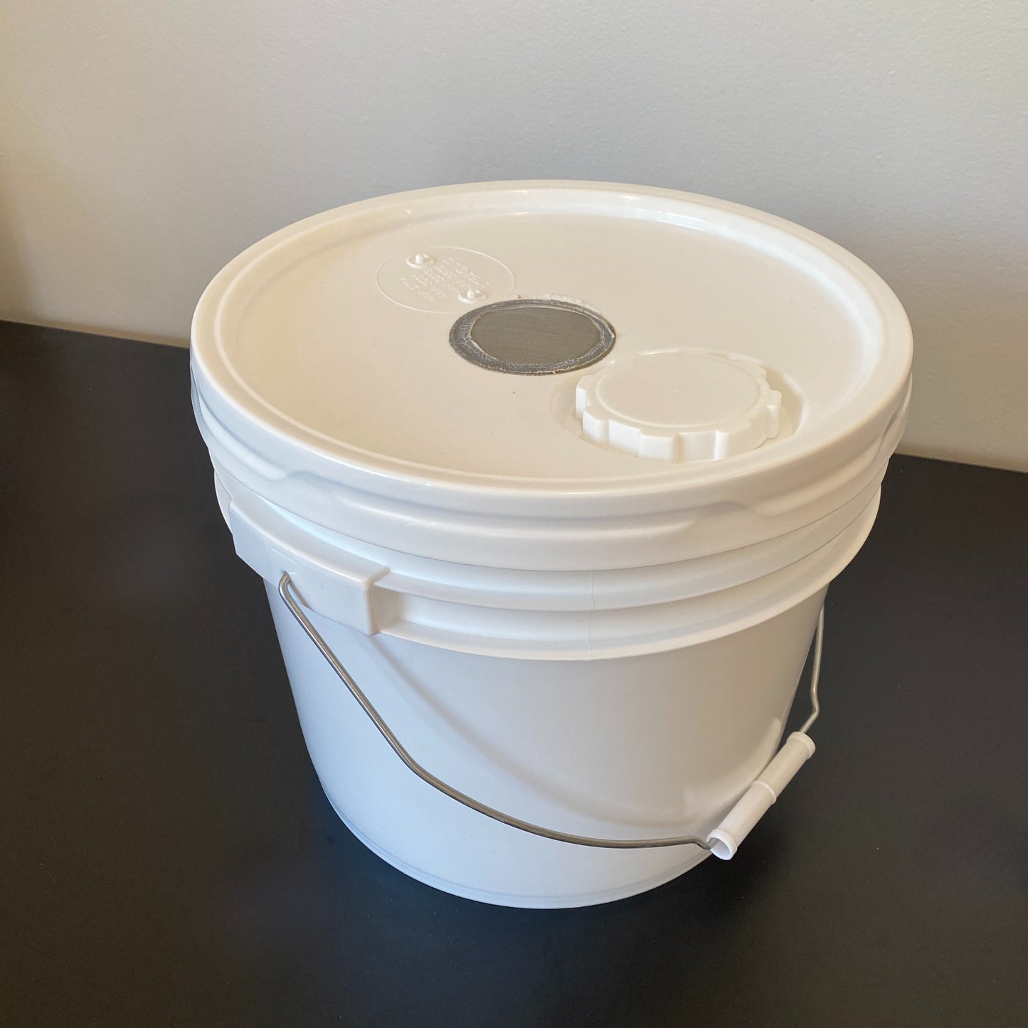 Boiler for feeding