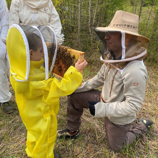 Beginner - The practice of beekeeping