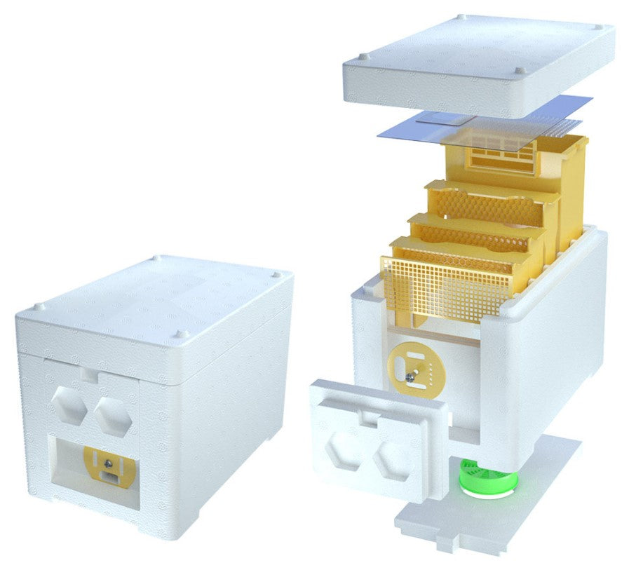 Ruchette de fécondation