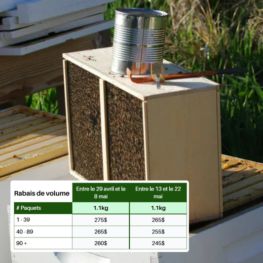 Paquet d'abeilles 1.1 kg avec reine - Italie