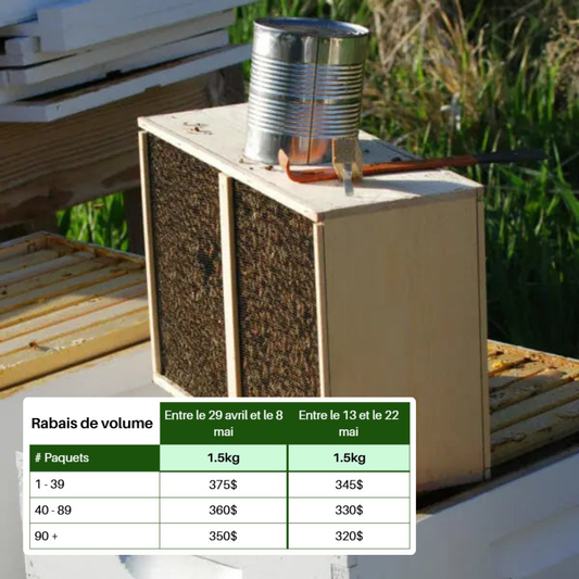 Paquet d'abeilles 1.5 kg avec reine - Italie