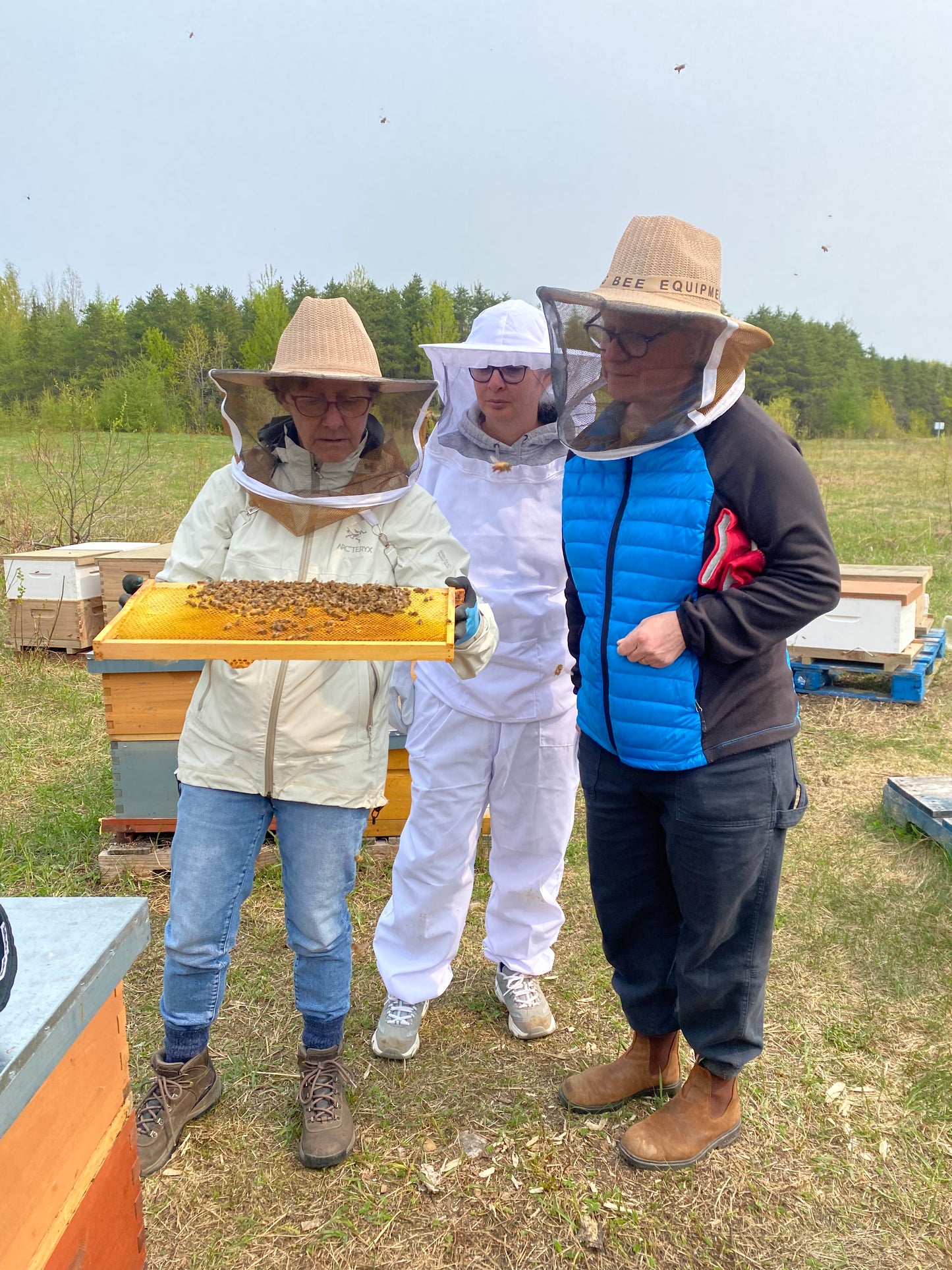 Débutant - La pratique de l'apiculture