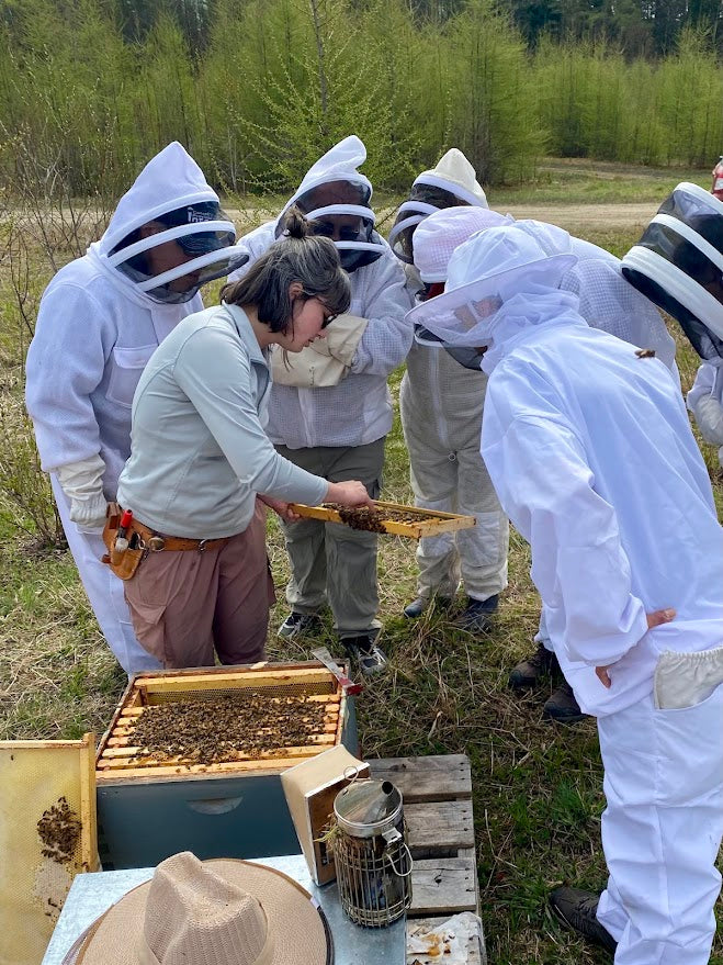 Débutant - La pratique de l'apiculture