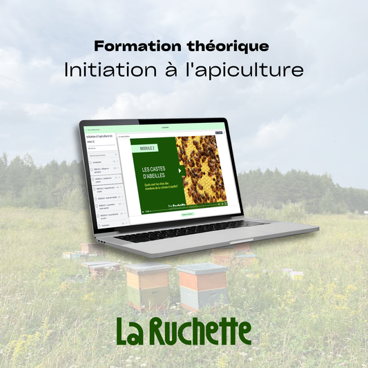 Formation théorique - Initiation à l'apiculture