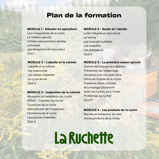 Formation théorique - Initiation à l'apiculture