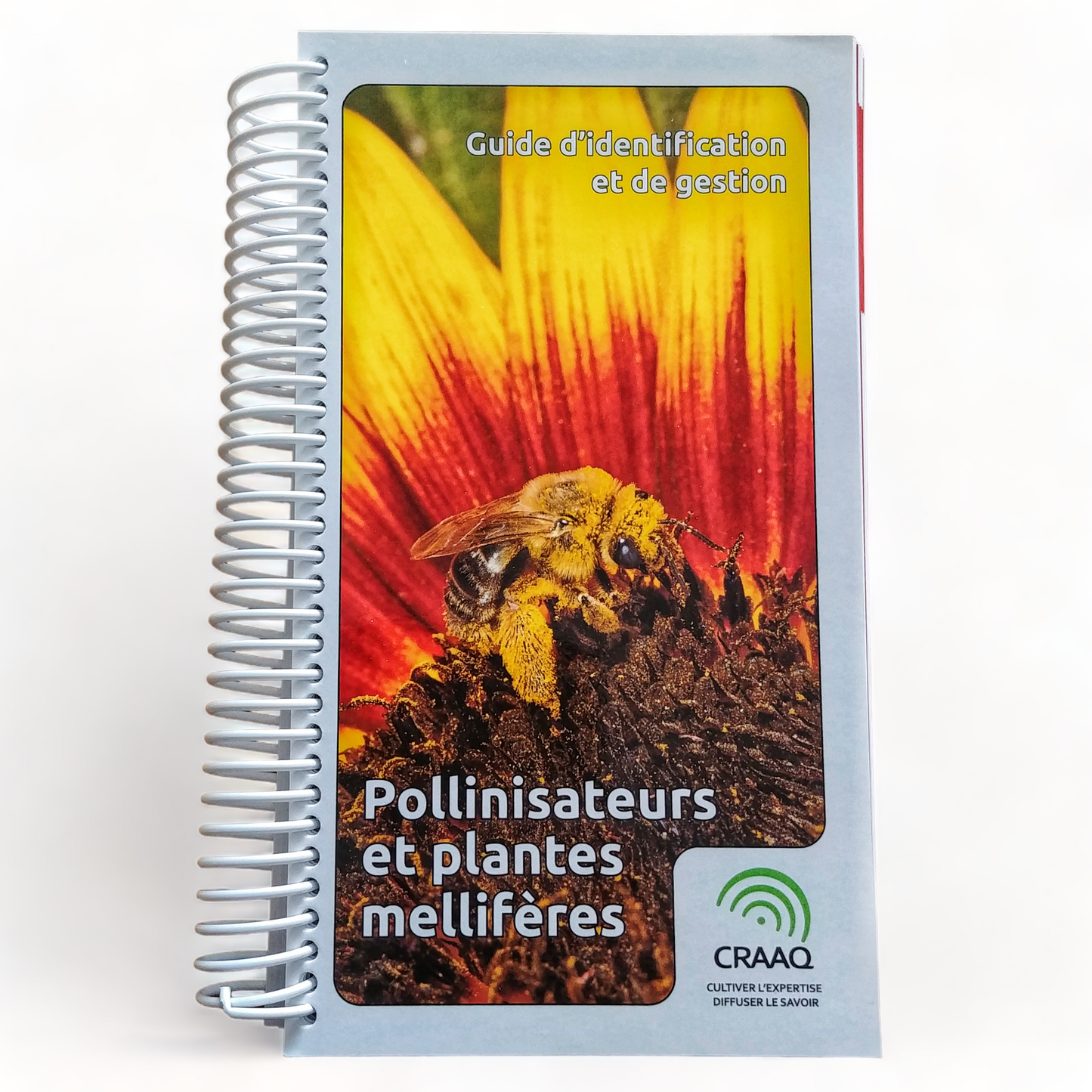 Guide d'identification et de gestion - Pollinisateurs et plantes mellifères