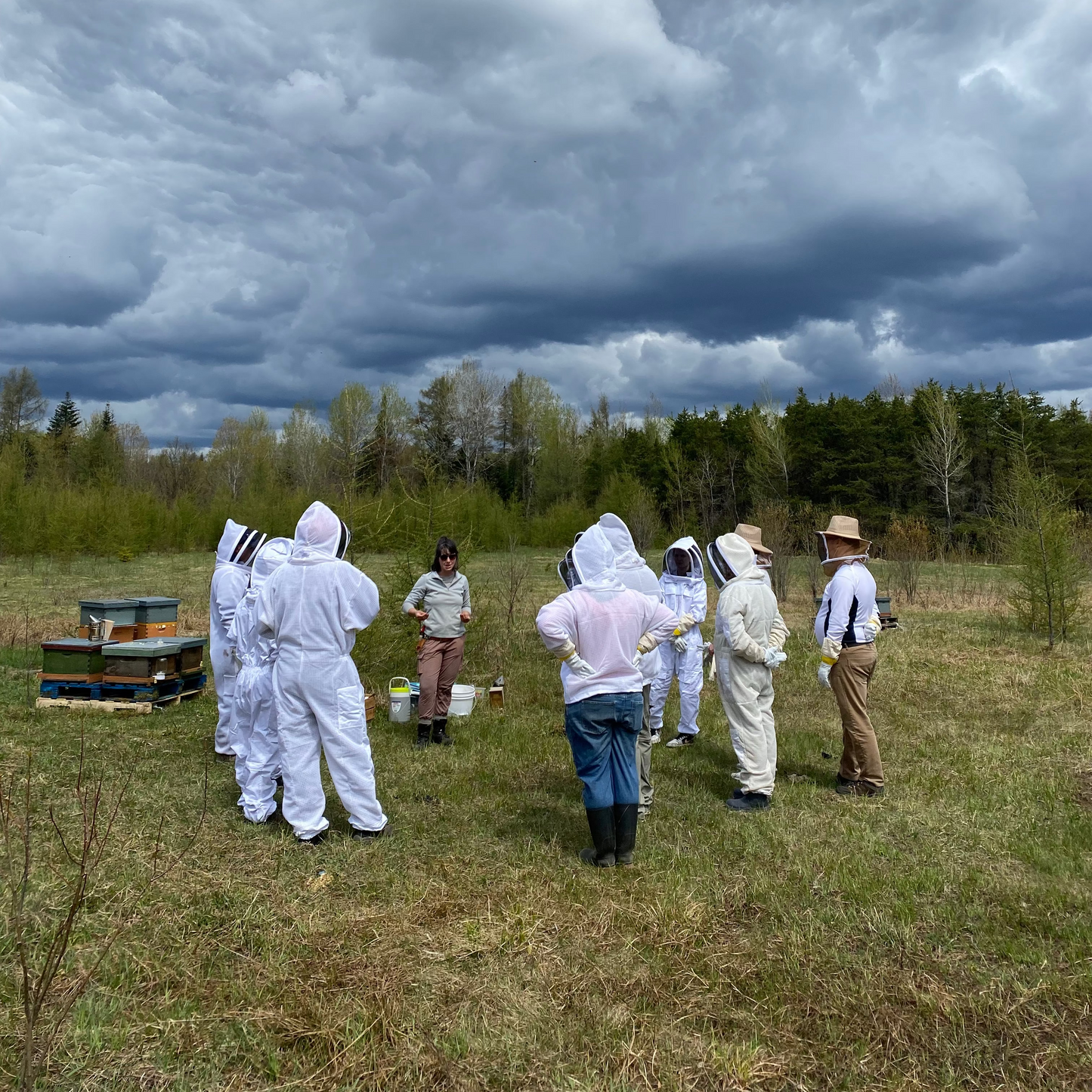 Beginner - The practice of beekeeping