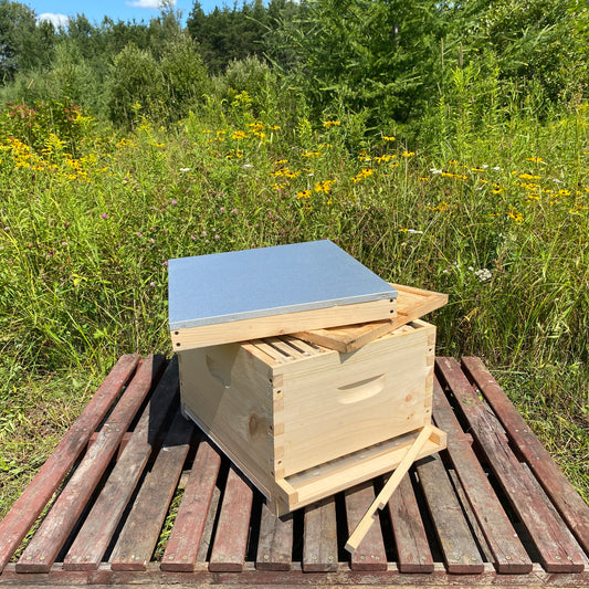 La ruche de base (assemblée)