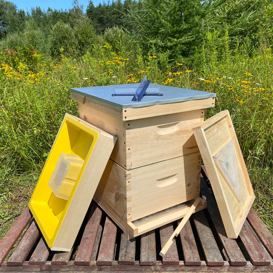 La ruche complète (non-assemblée)