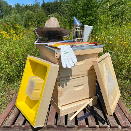 La Totale (non assemblée)