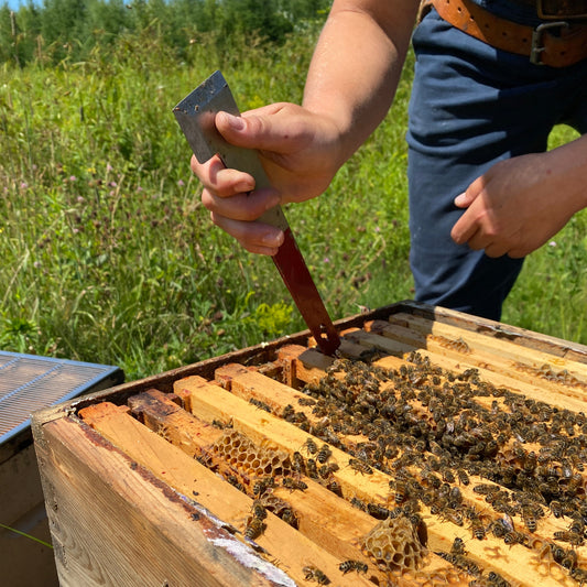 Frame lifter with hook