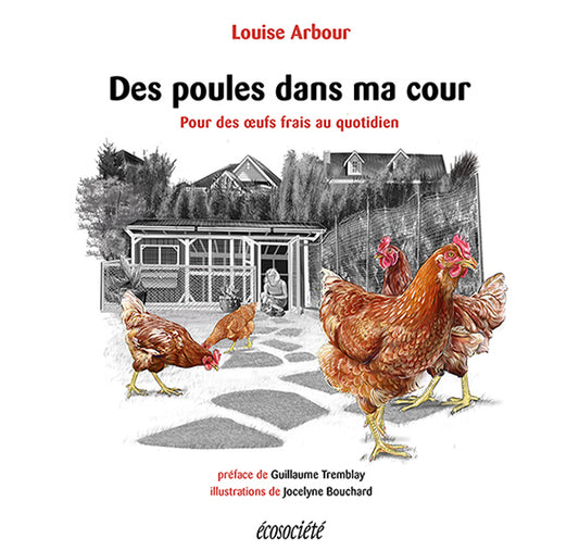 Des poules dans ma cour - Pour des oeufs frais au quotidien