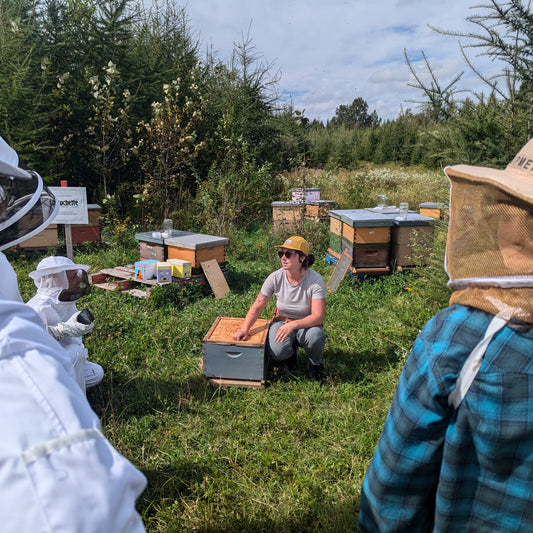 Débutant - La pratique de l'apiculture