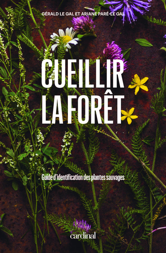 Cueillir la forêt - Guide d'identification des plantes sauvages