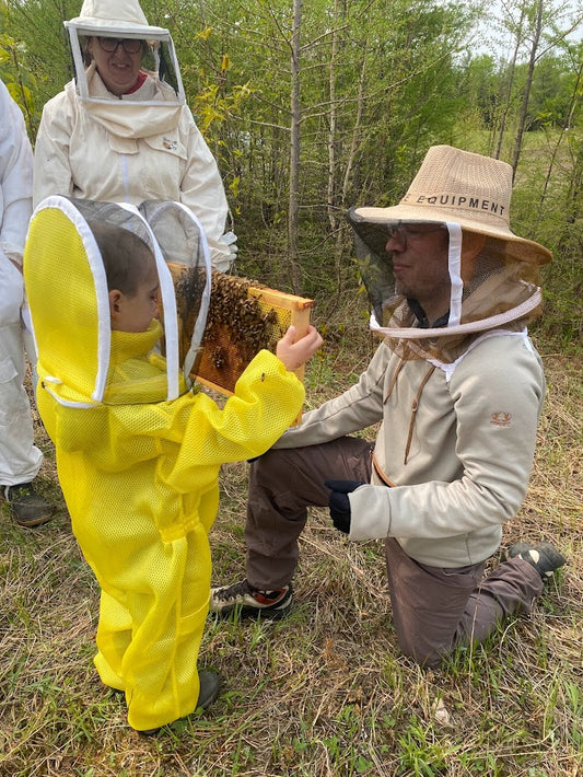 Débutant - La pratique de l'apiculture