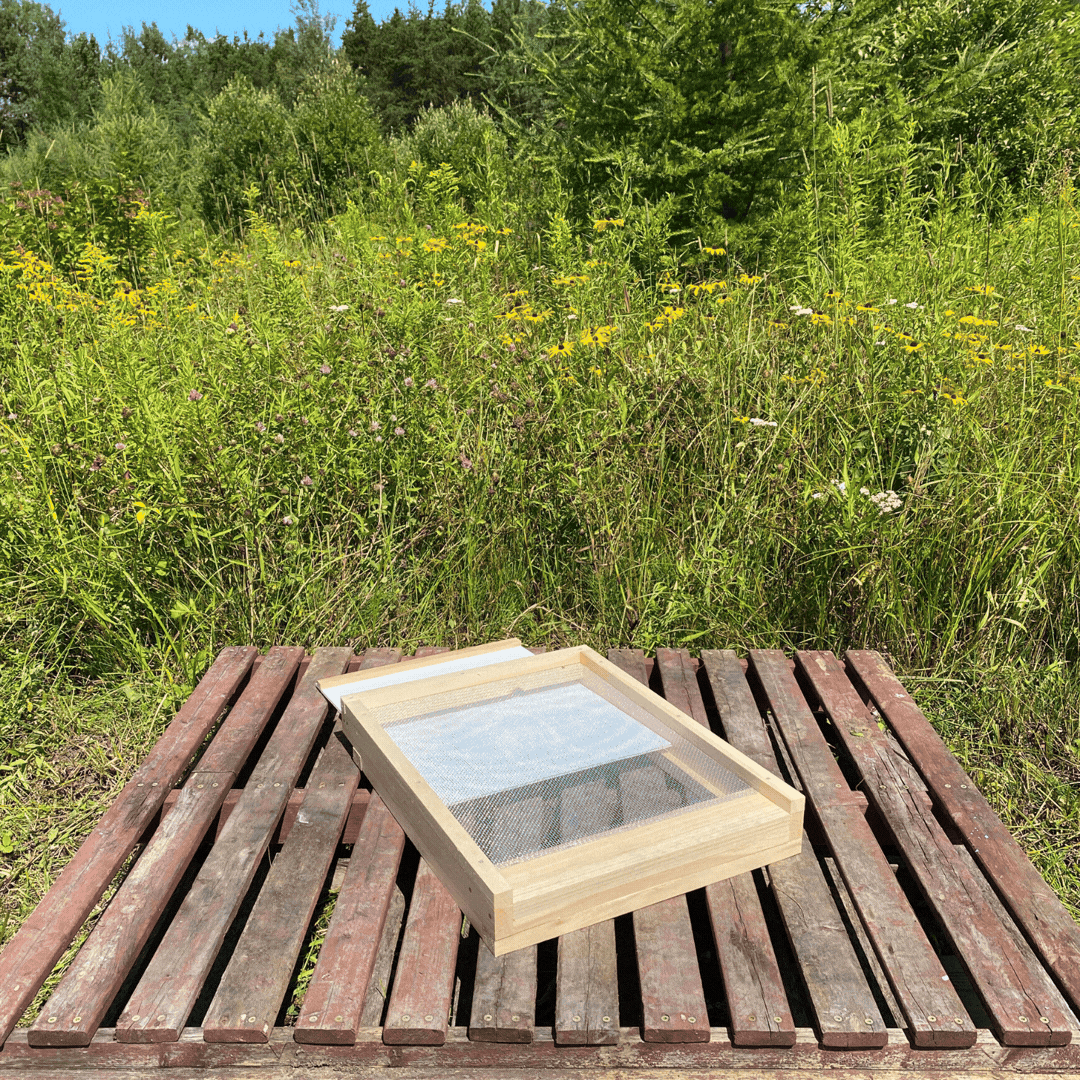 La ruche de base (assemblée)