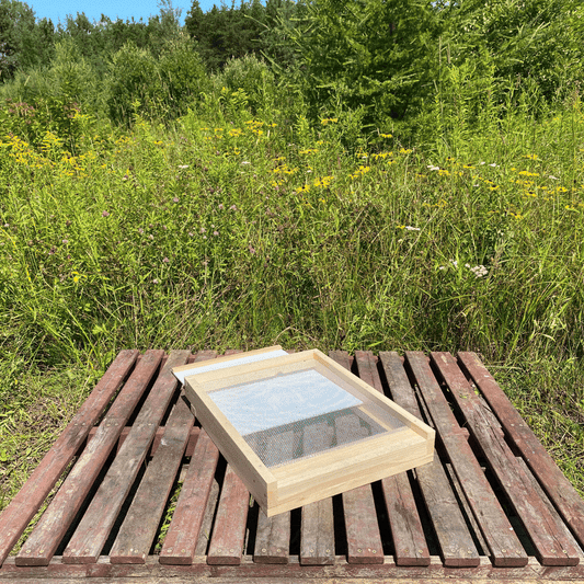 La ruche de base (assemblée)